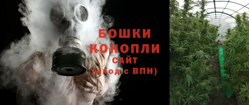 Бошки Шишки SATIVA & INDICA  Кингисепп 